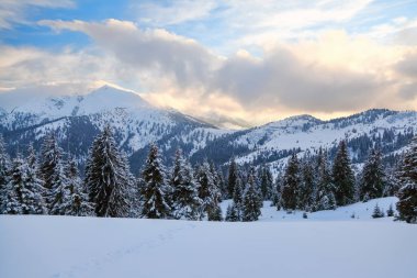 Güzel soğuk bir gün yüksek dağlar ve tepeler arasında büyülü ağaçlar güzel kış manzara karşı beyaz kabarık kar ile kaplı bulunmaktadır. Muhteşem kış arka plan bir broşürü