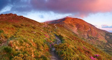 Geniş yol çiçek açan orman gülleri ile kaplı meadows arasında yüksek bir dağın üstünde tepe-in bu ve güzel bir pembe günbatımı bir ev ile yol açar. Güzel bahar arka plan.