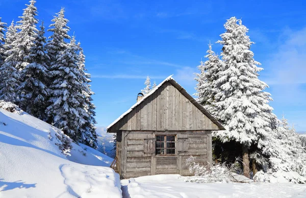 숲에서 산에서 잔디밭에 울타리와 외로운 오두막은 눈으로 전단지에 배경입니다 서리가 — 스톡 사진