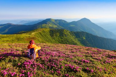 Arka çuval turist kızla dinlenme orman gülleri, çimenlerin üzerine oturur. Yüksek dağlar yeşil ormanlarla kaplı. Yaz sahne.