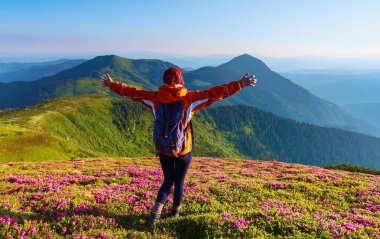 Orman gülleri güzel çalılar ile çim. Dağlar sarılma kollarını yükselen arka torbayla turist. Yaz manzara. Konumu Karpat Dağları, Marmarosy, Ukrayna.