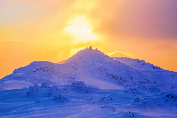 日の出の空 黄色の輝きを持つ冷凍の雪の吹きだまりに立っている木を啓発します — ストック写真