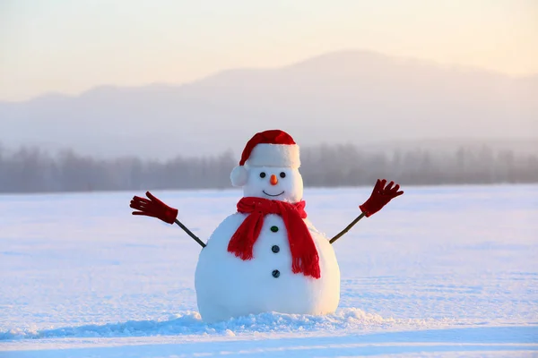모자와 스카프에 눈사람입니다 크리스마스 풍경입니다 배경에서 눈으로 지상입니다 — 스톡 사진