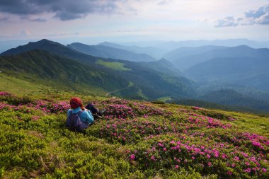 Manzara yüksek dağlarla. Gökyüzü bulutlu. Orman yolu. Orman gülleri çimenlerin üzerine olan arka torba kız oturuyor. Eko turizm. Güzel yaz günü.