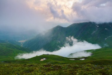 Formu bir yeşil çim güzel ve büyüleyici bir görünüm, sis, yüksek dağlar ve güneş ışınlarının açılır. Georgia, Svaneti
