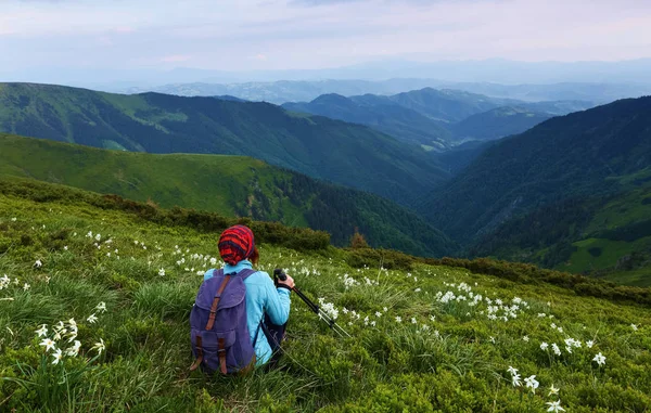 The tourist girl with back sack and tracking sticks sits on the lawn of daffodils. Relaxation. Mountain landscapes. Wonderful summer day. Location the Carpathian Mountains, Marmarosy, Ukraine.