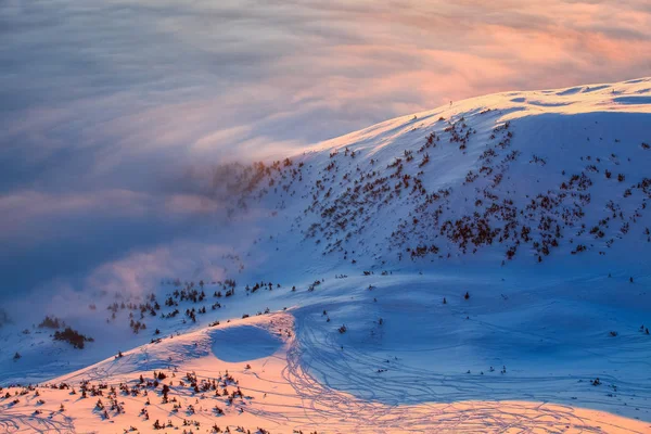 明確な冬の日 うっすらと雪化粧 雪渓からすることができますトウヒの森林 どの濃い霧に覆われた山の丘ロール オーバー見られる美しい雪 幻想的な冬景色 — ストック写真