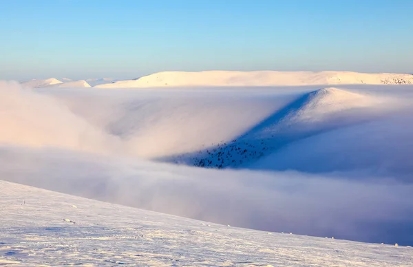 Cudowny Zimowe Słońce Wysoki Górach Pięknych Lasów Pól Góry Mgle — Zdjęcie stockowe