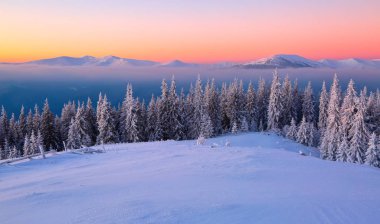 Çimenlerin kaplı kar ile kaplı bir manzarayı frost ağaçlar, sis, dağlar, uzun boylu, dik ile pembe bir gökyüzü ile ilginç bir gündoğumu. İyi kış günü.