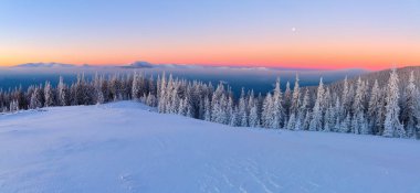 Çimenlerin kaplı kar ile kaplı bir manzarayı frost ağaçlar, sis, dağlar, uzun boylu, dik ile pembe bir gökyüzü ile ilginç bir gündoğumu. İyi kış günü.