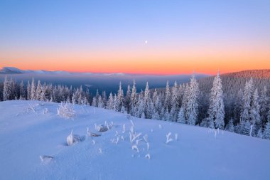 Çimenlerin kaplı kar ile kaplı bir manzarayı frost ağaçlar, sis, dağlar, uzun boylu, dik ile pembe bir gökyüzü ile ilginç bir gündoğumu. İyi kış günü.