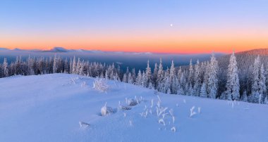 Çimenlerin kaplı kar ile kaplı bir manzarayı frost ağaçlar, sis, dağlar, uzun boylu, dik ile pembe bir gökyüzü ile ilginç bir gündoğumu. İyi kış günü.