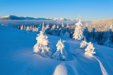 Güzel soğuk bir gün yüksek dağlar ve tepeler arasında büyülü ağaçlar sihirli kış manzara karşı beyaz kabarık kar ile kaplı bulunmaktadır. Fantastik kış manzarası.