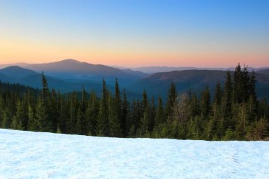 Kardan kapalı çim yeşil çam ağaçları görünümünü açar, en fazla, gün batımı, mavi pembe gökyüzü yüksek dağları kar ile kaplı. Muhteşem akşam bahar manzara.