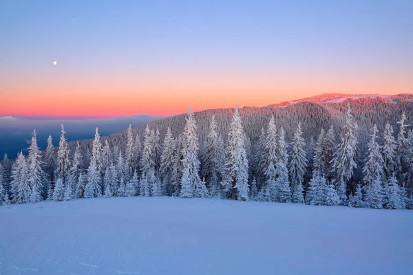Τοπίο Ψηλά Βουνά Καλυμμένα Χιόνι Ενδιαφέρουσα Παγωμένη Υφή Όμορφο Χειμώνα — Φωτογραφία Αρχείου