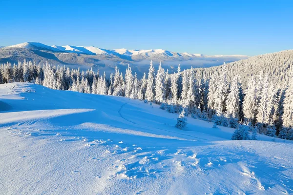 在覆盖着积雪的草坪上 美丽的树木在寒冷的冬日里矗立着雪花 梦幻般的风景与高山在雪中 单张冬季景观 — 图库照片