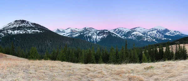 Bergpanorama Die Gipfel Der Schneebedeckten Hügel Der Rasen Mit Getrocknetem — Stockfoto