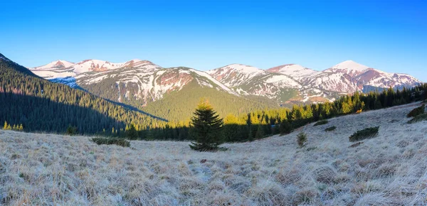 Hochgebirgspanoramen Deren Gipfel Mit Schnee Bedeckt Sind Wälder Ein Rasen — Stockfoto