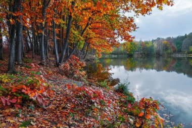 Nehir kıyısında güzel kırmızı, sarı, portakal ağaçları nerede yaprakları yüzen su yansıtır. Güzel sonbahar manzara Köyü.