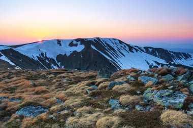 Kayalar ve sarı çim çayır. Manzara yüksek dağları doruklarına kar, pembe ufuk güneş doğarken kaplı. Bahar güzel gün.