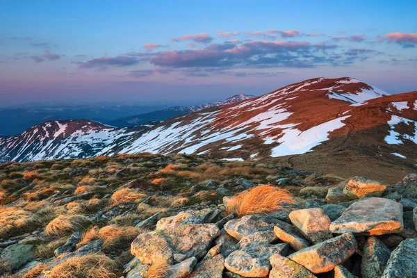 Łąka Skałami Żółty Trawy Krajobraz Wysokich Szczytów Gór Pokryte Śniegiem — Zdjęcie stockowe