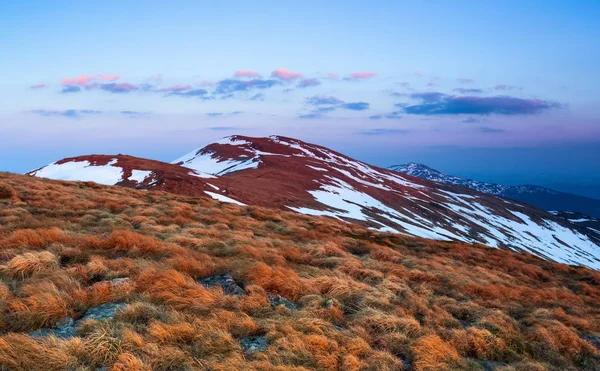 Łąka Skałami Żółty Trawy Krajobraz Wysokich Szczytów Gór Pokryte Śniegiem — Zdjęcie stockowe
