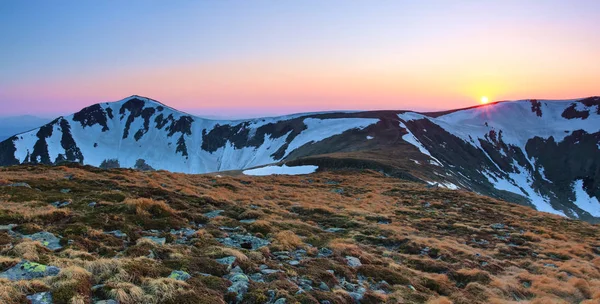 The meadow with the rocks and yellow grass. Landscape of high peaks of mountains covered with snow, pink sunrise at the horizon. Spring beautiful day.