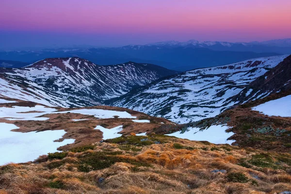 Луг Скалами Желтой Травой Пейзаж Высоких Вершин Гор Покрытых Снегом — стоковое фото