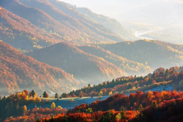 信じられないほどの風景と つや消しの緑の草霧し 冷たい秋の朝光のやわらかな日差し — ストック写真