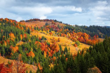 Sarı ve kırmızı yapraklarla kaplı ağaçlar, dağların yüksek kesimlerinde batan güneşin sıcak ışığını üzerine düşürüyorlar. Sonbahar köyü sahnesi.  