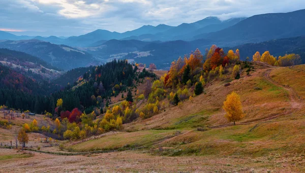 Szeroki Szlak Prowadzi Pięknego Lasu Niebo Chmurami Słoneczny Dzień Jesieni — Zdjęcie stockowe