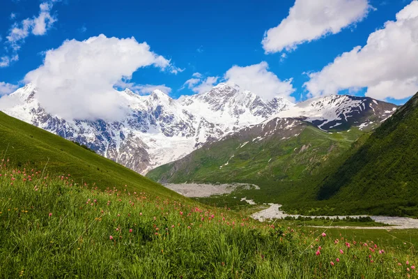 From the lawn with flowers opens a panoramic view of the broad river, rocky mountains in the snow, green meadows and cloudy sky. Upper Svaneti, Georgia, Europe. Happy lifestyle. Beautiful universe.