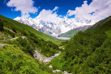 Çiçekli çim üzerinden kar yeşil çayırlar ve bulutlu gökyüzü geniş nehir, rocky Dağları panoramik bir görünümünü açar. Üst Svaneti, Georgia, Avrupa. Mutlu bir yaşam tarzı. Güzel evren.