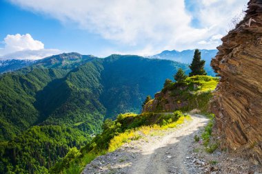 Bir güneşli yaz gününde yeşil ormanlarla kaplı yüksek Kafkas Dağları aşağı bir uçurum ile geniş bir yol açar. Üst Svaneti, Georgia, Avrupa. Mutlu bir yaşam tarzı. Güzel evren.