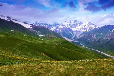 Çiçekli çim üzerinden kar yeşil çayırlar ve bulutlu gökyüzü geniş nehir, rocky Dağları panoramik bir görünümünü açar. Üst Svaneti, Georgia, Avrupa. Mutlu bir yaşam tarzı. Güzel evren.