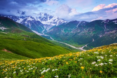Çiçekli çim üzerinden kar yeşil çayırlar ve bulutlu gökyüzü geniş nehir, rocky Dağları panoramik bir görünümünü açar. Üst Svaneti, Georgia, Avrupa. Mutlu bir yaşam tarzı. Güzel evren.