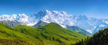 Büyük yeşil çim yeşil çim ile ve her yerde stand yüksek dağlarda kar ve güzel gökyüzü bir yaz gününde kaplı. Üst Svaneti, Georgia, Avrupa. Mutlu bir yaşam tarzı. Güzel evren. 