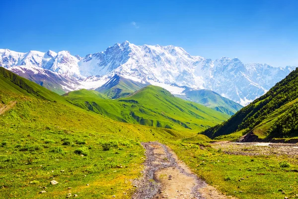 Uit Brede Weg Opent Fascinerend Uitzicht Besneeuwde Rocky Mountains Groene — Stockfoto