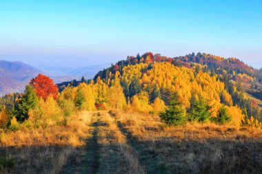 Geniş yol çayır ve turuncu renkler ağaçlar yanında alanları üzerinde sarı çim yüksek pitoresk dağlara götürüyor. Sonbahar köy sahne.  