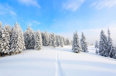 Yüksek dağlar ve tepeler arasında soğuk bir güzel gün sihirli kış manzara karşı beyaz kabarık kar ile kaplı büyülü ağaçlar vardır.