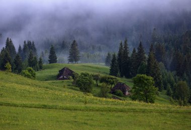 Ormanlar ve dağlar'ın bahçesinde arasında bir eski terk edilmiş ahşap kulübe vardır. Kalın sis, yeşil ağaçlar, Güneş ışınları, güzel yaz günü sahne.