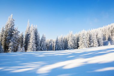 Yüksek dağlar ve tepeler arasında soğuk bir güzel gün sihirli kış manzara karşı beyaz kabarık kar ile kaplı büyülü ağaçlar vardır.