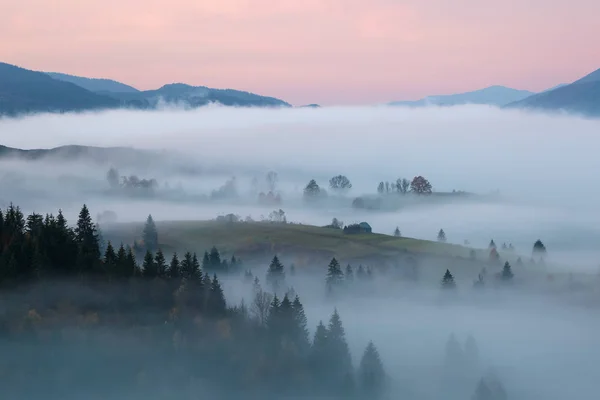 Krajobraz Wschód Słońca Górach Wysokich Gęsta Mgła Pięknym Światłem Miejsce — Zdjęcie stockowe