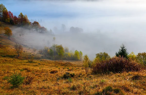 Autumn Landscape High Mountains Orange Coloured Trees Fog Sun Rays — Stock Photo, Image