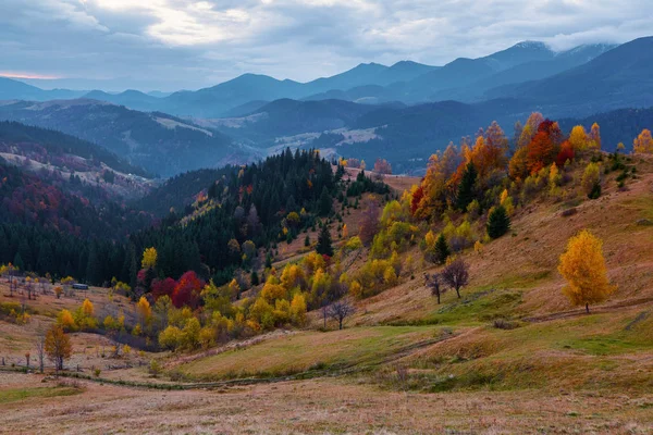 Paesaggio Autunnale Alte Montagne Alberi Color Arancio Nebbia Raggi Del — Foto Stock