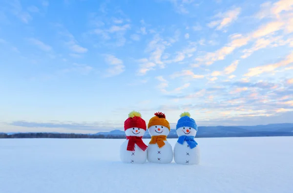 Vrienden Sneeuwpop Rood Blauw Geel Hoeden Sjaals Mooie Winter Landschap — Stockfoto