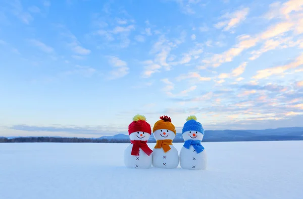 Amigos Boneco Neve Vermelho Azul Chapéus Amarelos Lenços Nice Cenário — Fotografia de Stock