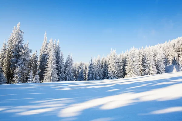 在高大的山脉和山峰之间冷淡美丽的一天是白雪覆盖蓬松反对神奇冬季景观神奇树木 — 图库照片