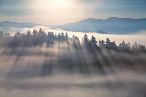 Пейзаж Высоких Гор Лесов Солнечные Лучи Светят Сквозь Туман Холодное — стоковое фото