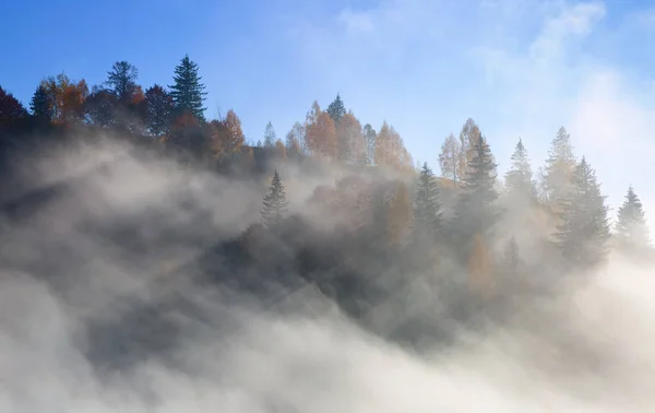 Krajobraz Górami Lasami Promienie Słońca Świecą Się Przez Mgłę Zimne — Zdjęcie stockowe